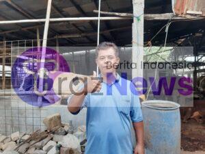 Wabah PMK Pada Hewan qurban Menjelang Lebaran Idul Adha, belilah hewan qurban lebih selektif