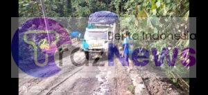 Vidio Wes Ambles Kebebes…