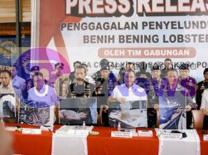 Bareskrim Polri : Gagalkan Penyelundupan 151 Ribu Benih Lobster  Di  Perairan Bintan