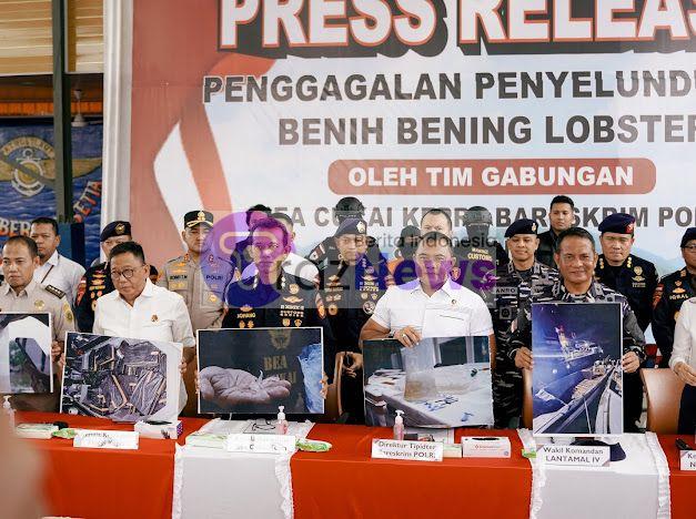 Bareskrim Polri : Gagalkan Penyelundupan 151 Ribu Benih Lobster  Di  Perairan Bintan