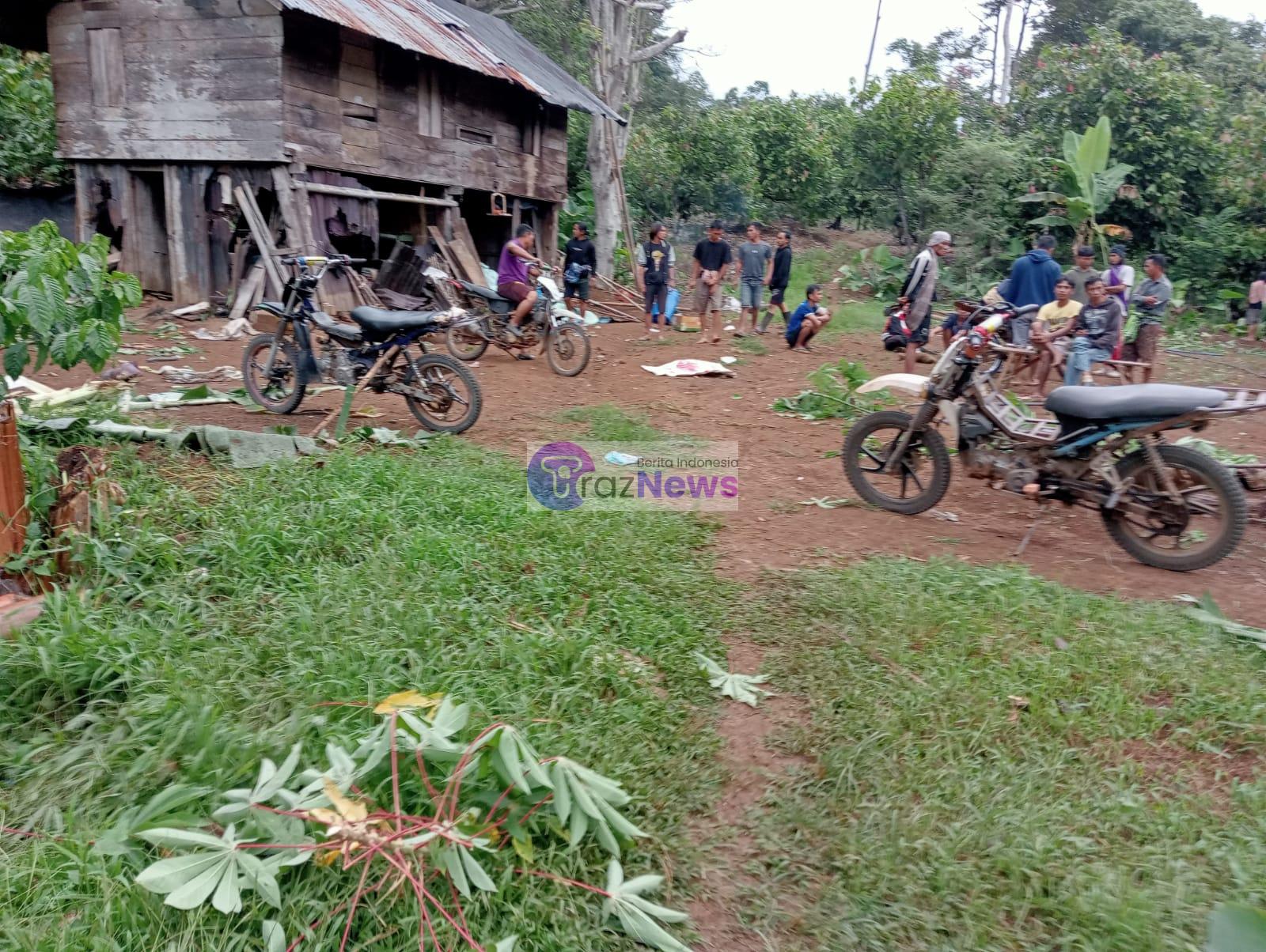 Kawanan Gajah di Tanggamus Tewaskan Seorang Warga