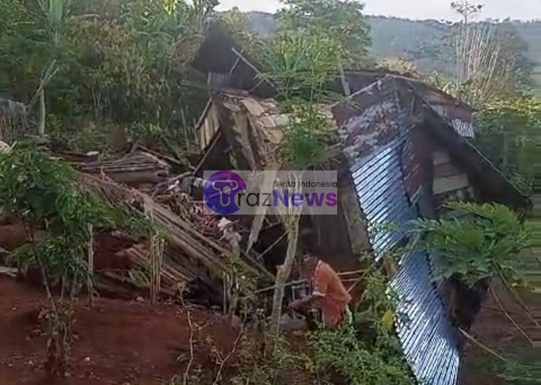 Tim Gabungan Berhasil Giring Kawanan Gajah Kembali ke Hutan, Belasan Rumah Warga Sempat Dirusak