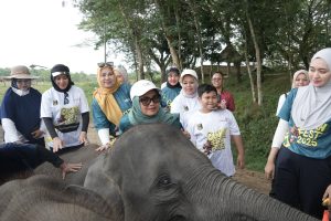 Bupati Lampung Timur Berharap Pembangunan Pembatas Permanen di Kawasan TNWK Agar Tidak Terjadi Konflik