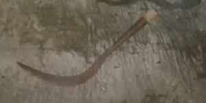 Tim 2 Beruang Jaga Jakarta Amankan 3 Pemuda Bawa Celurit di Bekasi Timur