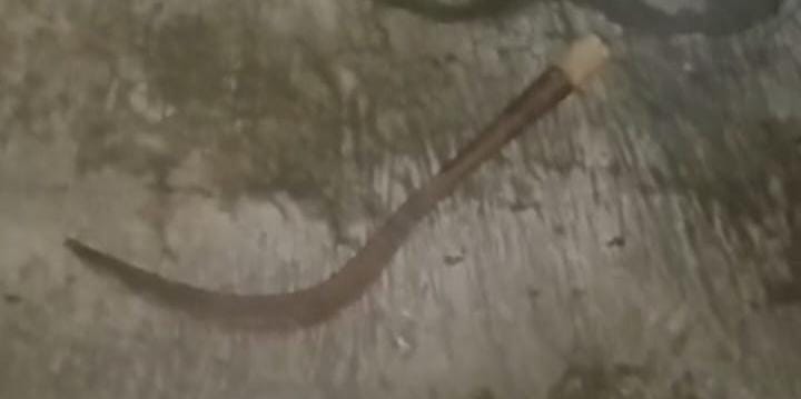 Tim 2 Beruang Jaga Jakarta Amankan 3 Pemuda Bawa Celurit di Bekasi Timur