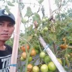 Dukung Program MBG, Warga Usulkan Penyeragaman Menu Dapur se-Lampung Barat.