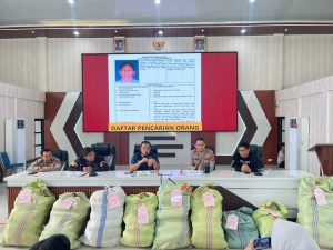 Operasi Gabungan Polda Sumsel Bongkar Ladang Ganja 20 Hektar di Empat Lawang, 220 Kg Ganja dan Bandar Utama Ditangkap