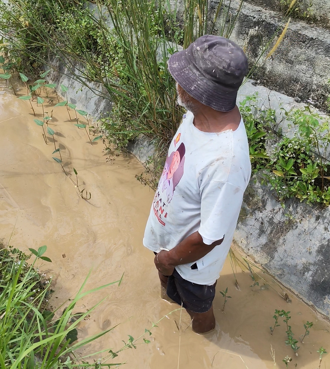 Limbah Tambang Meluap, Sawah Petani Tambahrejo di Ujung Tanduk