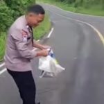 Vidio Viral! Solar Tumpah Tanjakan Giham