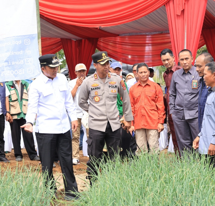 Lampung Barat Disiapkan Jadi Sentra Bawang Putih, Parosil Mabsus : Butuh Upaya Serius.