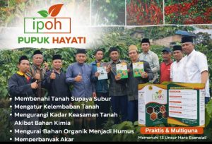 Mengenal Pupuk IPOH, Solusi Praktis Penuhi 13 Unsur Hara Tanaman