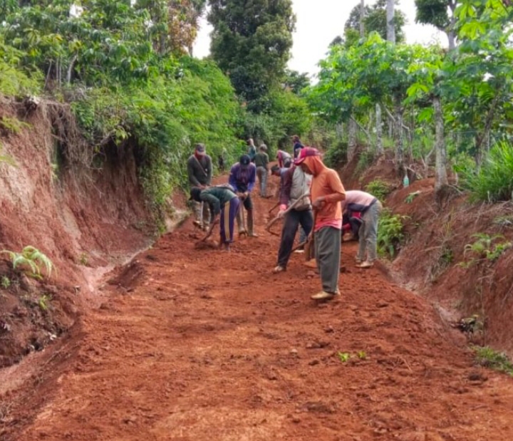 Gotong Royong Warga Sidodadi, Rawat Jalan Lingkungan Untuk Kelancaran Akses Transportasi