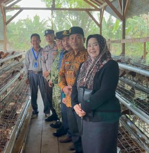 Tinjau Program Ayam Petelur Mutaralam, Camat Dorong Perluasan Usaha dan Pasar