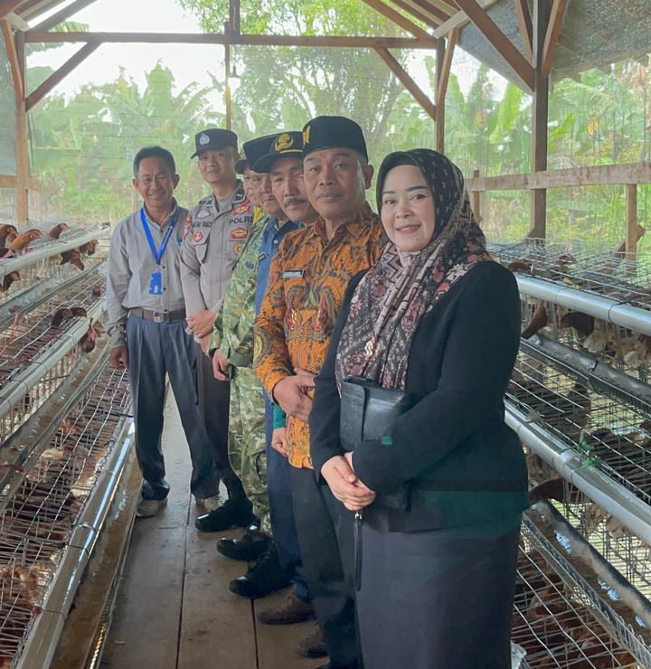 Tinjau Program Ayam Petelur Mutaralam, Camat Dorong Perluasan Usaha dan Pasar