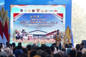 Presiden Prabowo dan Kapolri Panen Raya Jagung Nasional di Tuban Perkuat Ketahanan Pangan