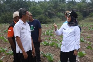 Bupati Ela Siti Nuryamah Dorong Program Dan Bantuan Petani Tembakau Lampung Timur