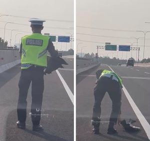 Bripda Lukman Personil Induk PJR Tol BSD Korlantas Polri Polantas Karib Mengamankan Bamper Mobil yang Terjatuh di Bahu Jalan Tol MTN Tangerang 
