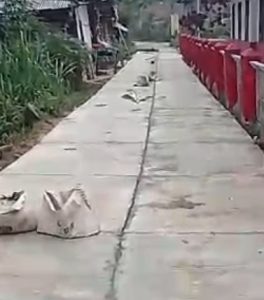 Jalan Lingkungan Diperbaiki, Warga Pemangku  Giham Balak Sampaikan Terima Kasih kepada Pemkab Lampung Barat
