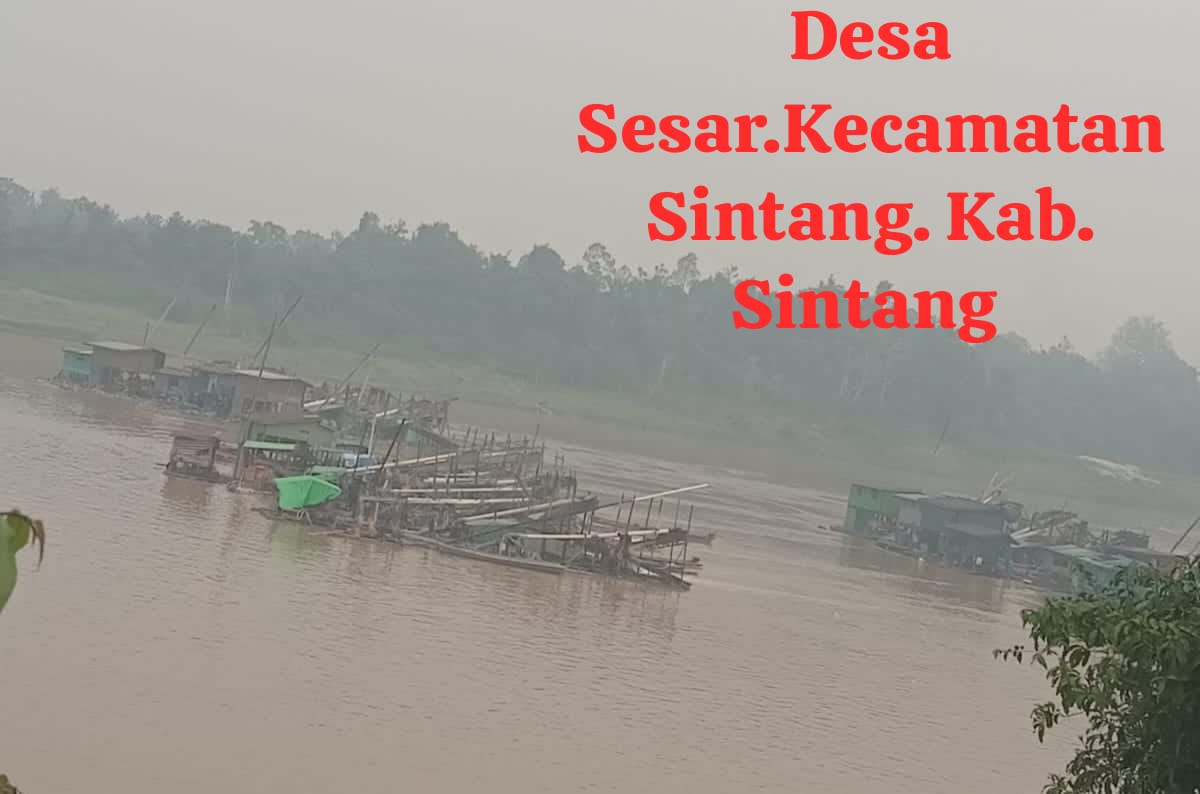 MARAKNYA PETI DI SESAR DISOROT, WARGA KHAWATIR ARUS SUNGAI KAPUAS TERGANGGU DAN TANAH LONGSOR