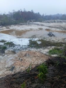Menang 4 Tingkat Tanpa Pengacara, 11 Warga Ella Hilir Melawi Tagih Eksekusi 400 Ha di PN Sintang, Lahan Jadi Kubangan PETI