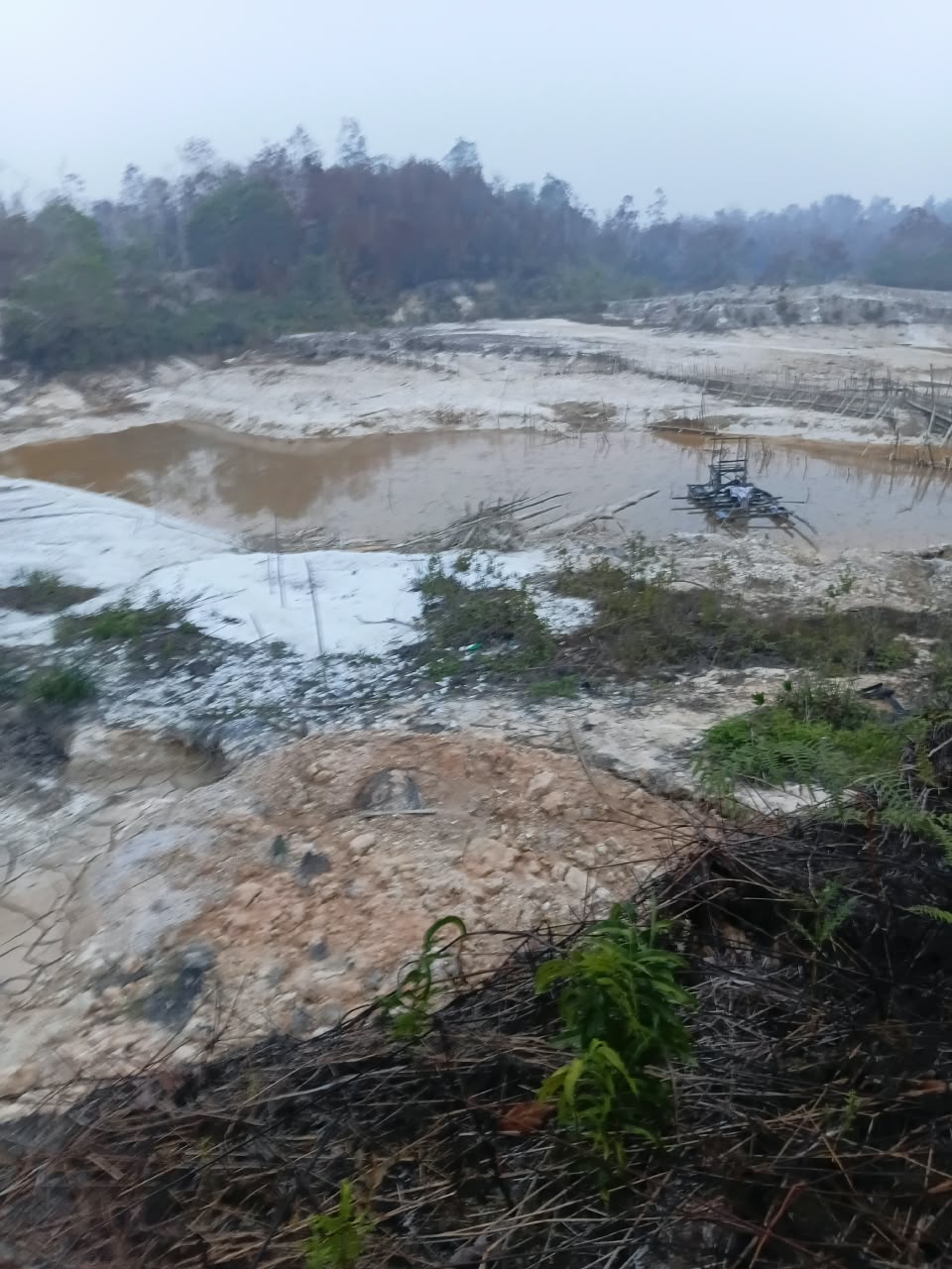 Menang 4 Tingkat Tanpa Pengacara, 11 Warga Ella Hilir Melawi Tagih Eksekusi 400 Ha di PN Sintang, Lahan Jadi Kubangan PETI