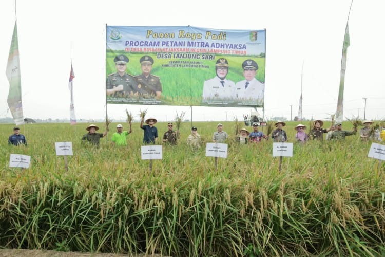 Panen Raya 403 Hektare di Jabung, Bupati Ela Apresiasi Sinergi Petani Mitra Adhyaksa Dan Kejari