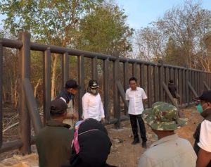 Api Way Kambas Padam, Bupati Ela Turun Langsung Cek Lahan Bekas Kebakaran Dan Progres Menara Pantau